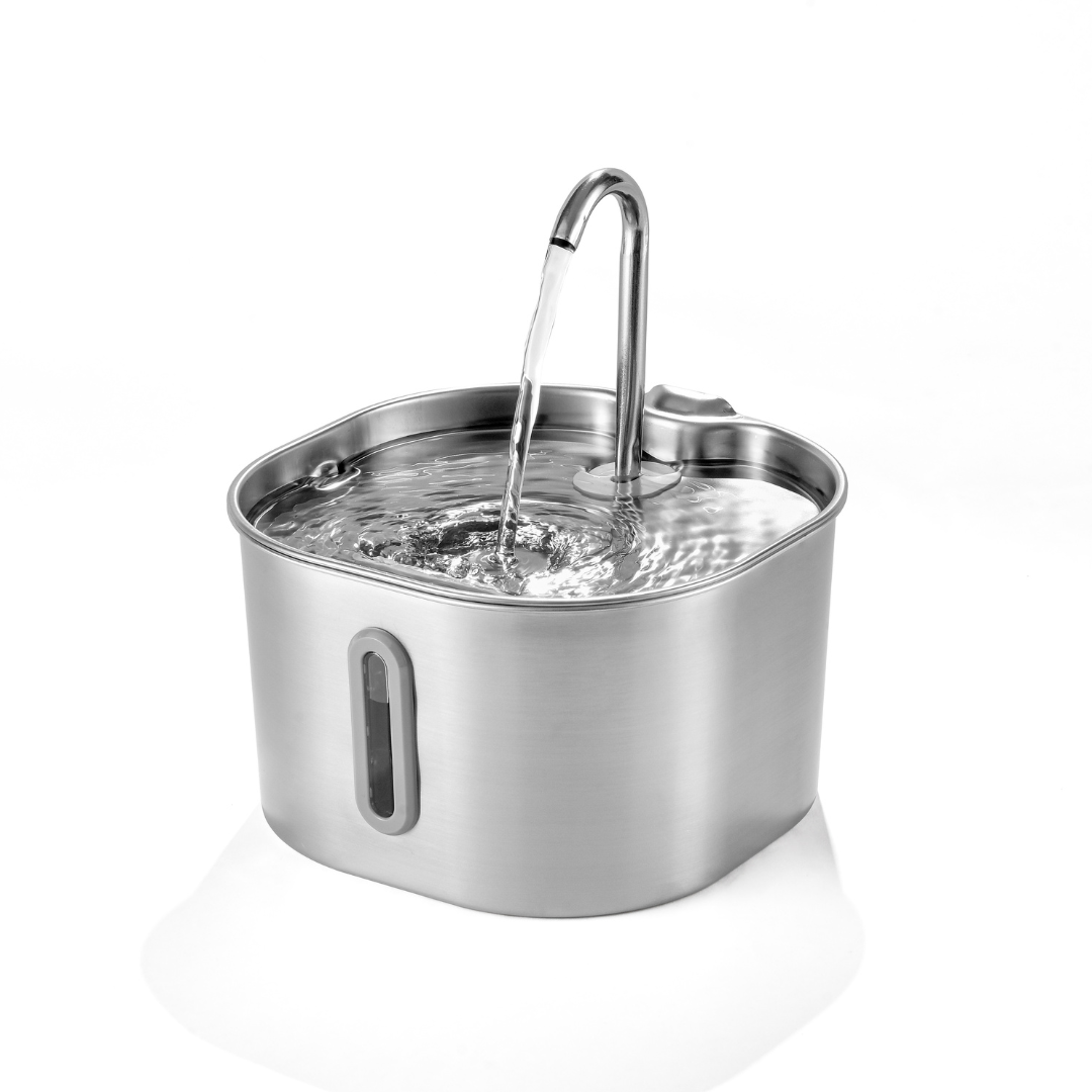 Cat Hydration Fountain