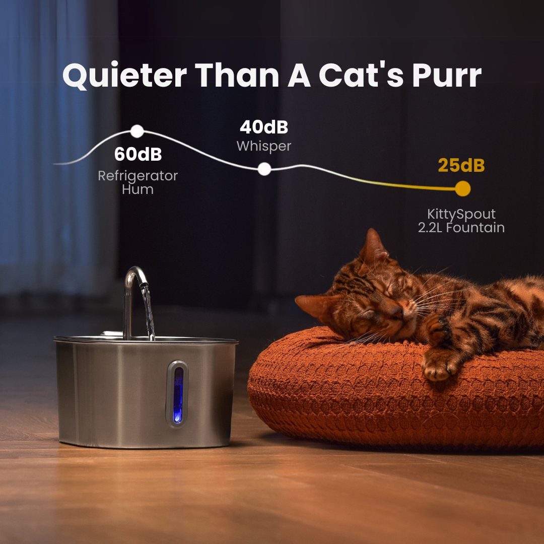 Cat Hydration Fountain