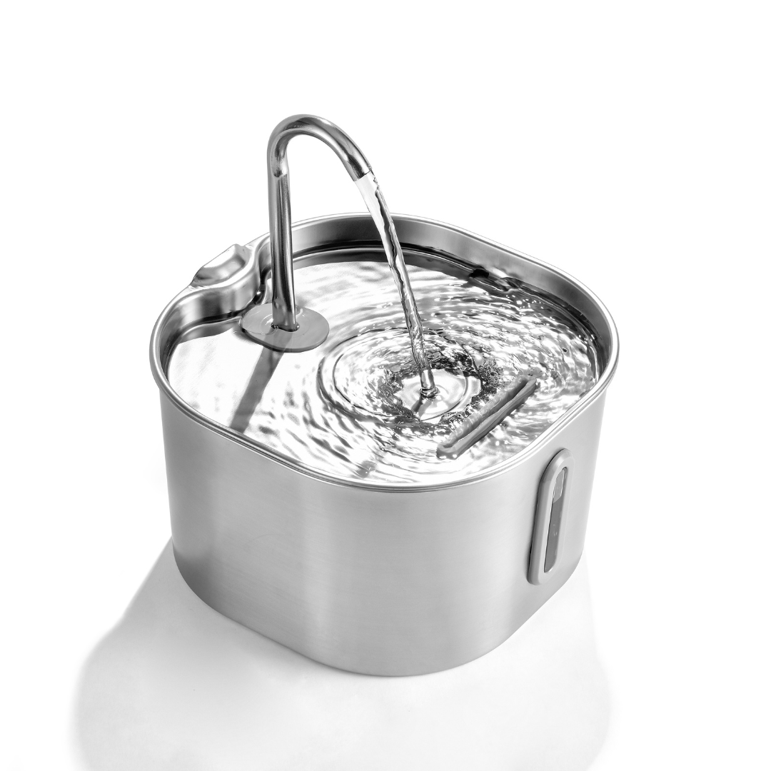 Cat Hydration Fountain